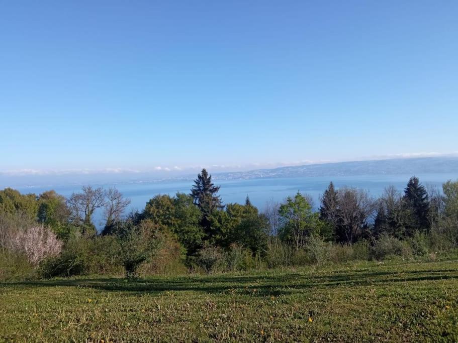Lugrin Proche Du Lac Et Montagne Екстериор снимка